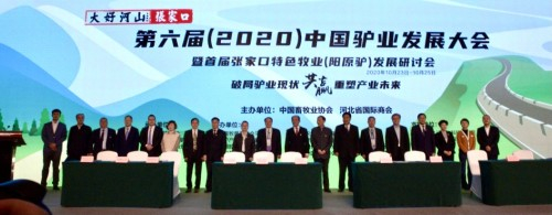 所有到场领导列席见证签约仪式