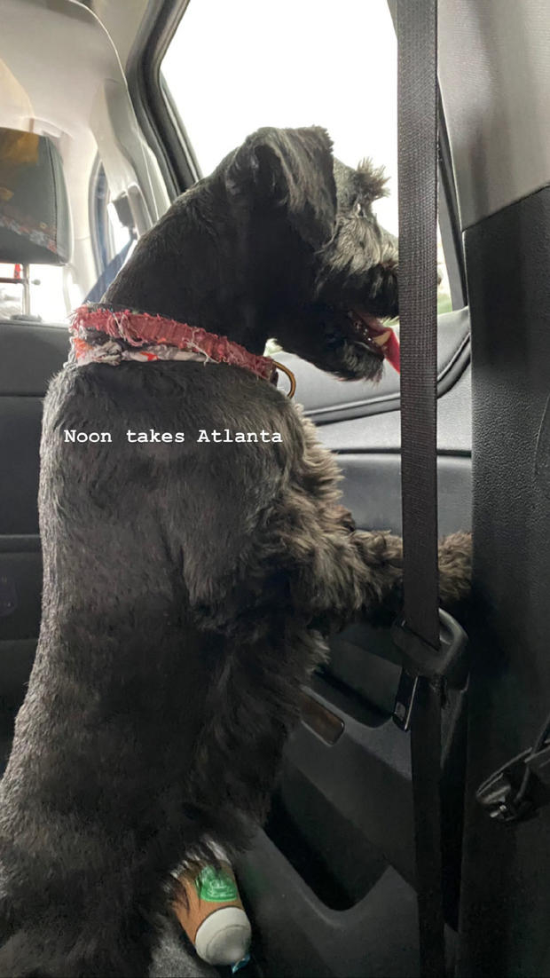 赞达亚间接宣布入组