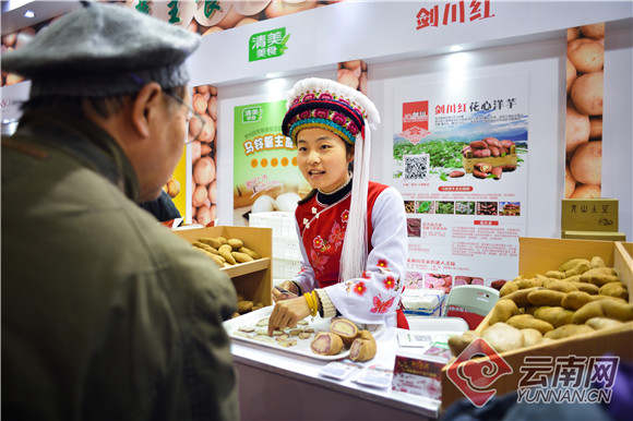 剑川农特产品到上海展销。供图