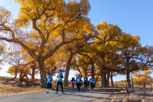 （图片来源▲2020内蒙古额济纳旗穿越胡杨林马拉松）