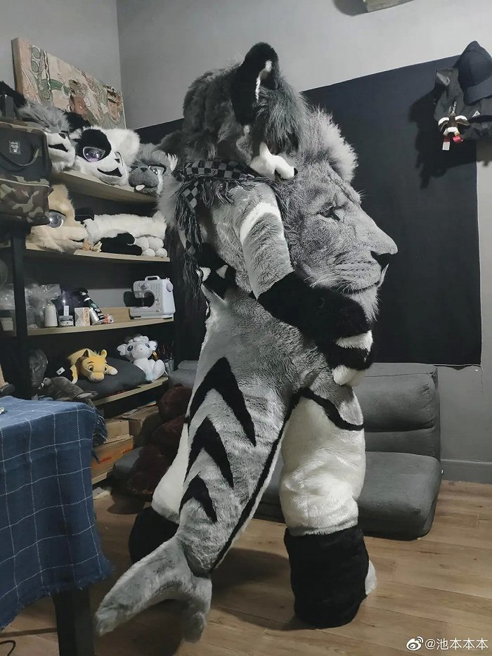 池本本兽装来源 / 受访者提供