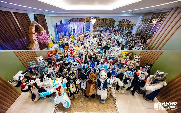 兽圈聚会来源 / 受访者提供