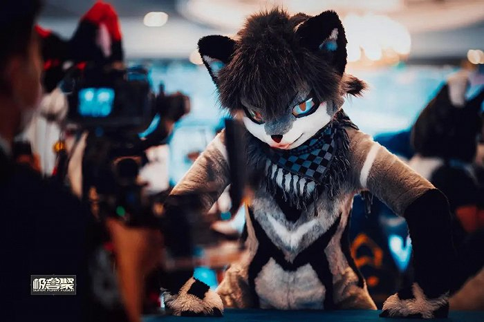 池本本兽装来源 / 受访者提供