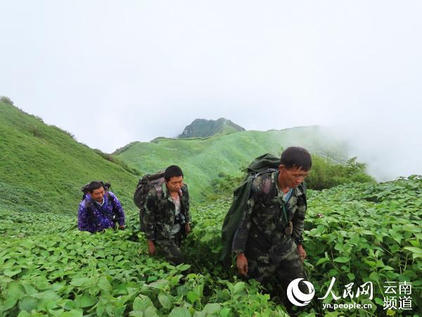 正在巡山的护林人（供图）