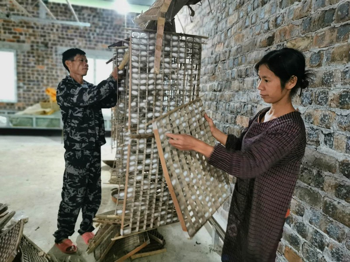 河池市金城江区东江镇龙友村贫困户兰建国夫妇在忙着缕蚕茧