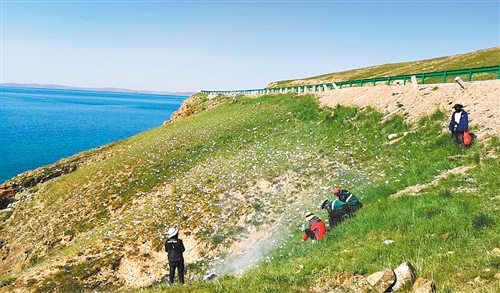 生态管护员在鄂陵湖边清理垃圾