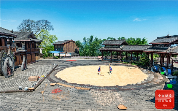 秋高气爽，艳阳高照。在贵州省赤水市大同镇，苗族同胞们正在忙着晾晒稻谷，确保颗粒归仓。（贵州省赤水市纪委监委供 张代炳 摄）