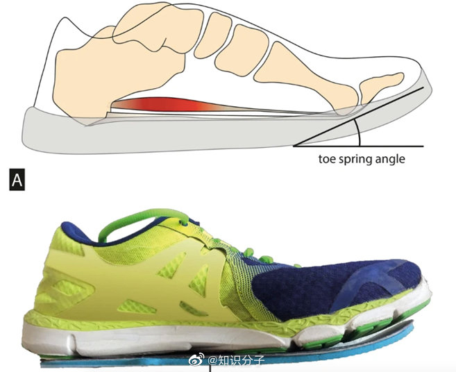 （图片来源▲科学报告）