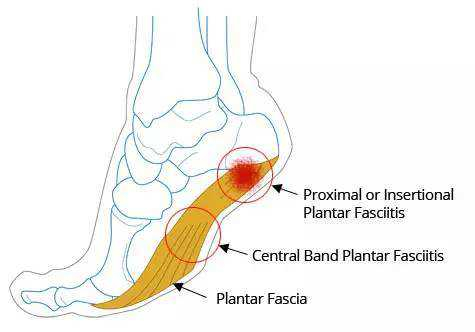 （图片来源▲百度文库）