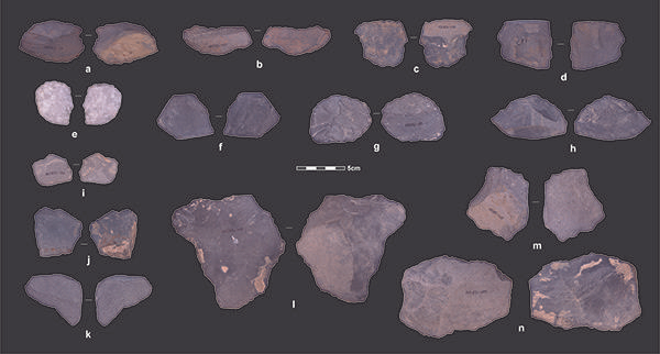 白石崖溶洞遗址发现的石片。摄影：韩源源；版权：张东菊，兰州大学