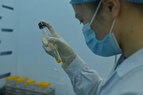  用于AMS14C测年的骨骼样品的骨胶原提取（陈晓珊）。摄影：韩源源；版权：张东菊，兰州大学