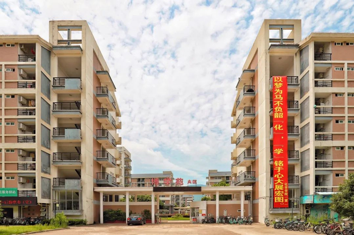 （陈进宇 摄）