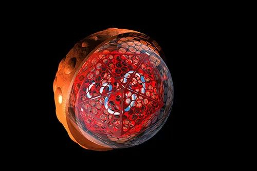 图为丙肝病毒。