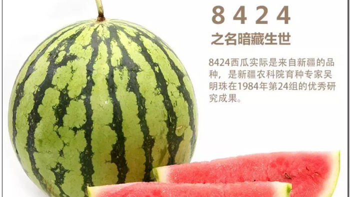 ▲图依次为黑眉毛、郁金香甜瓜、“蜜瓜皇后”、麒麟西瓜