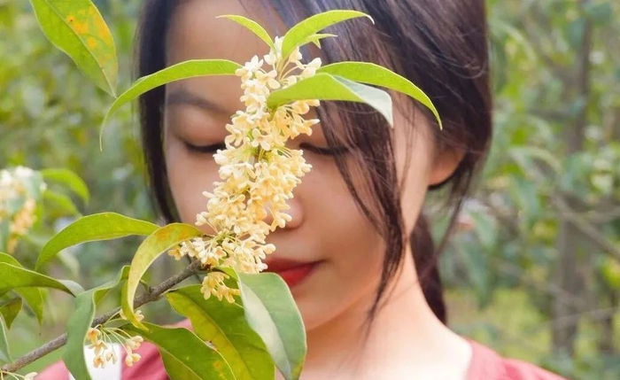 （高张悦 摄）