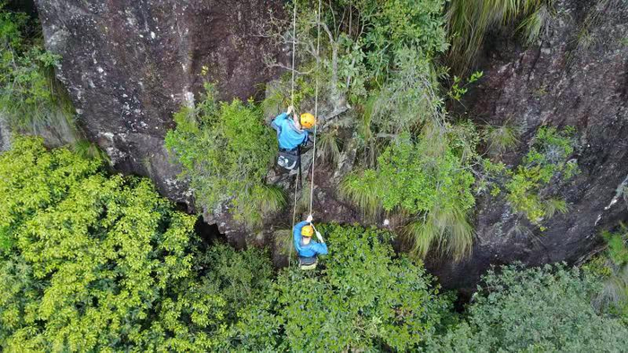  施工人员在密林中进行道路施工勘探。浙江省交通集团供图
