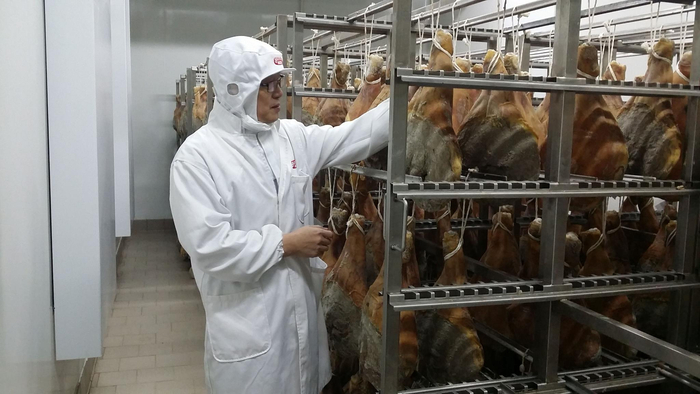 周光宏教授研究干腌火腿快速成熟工艺。受访者供图