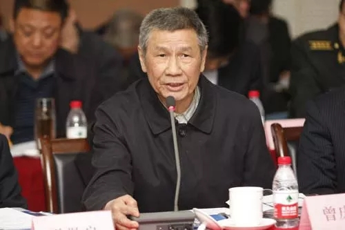 曾庆存资料图