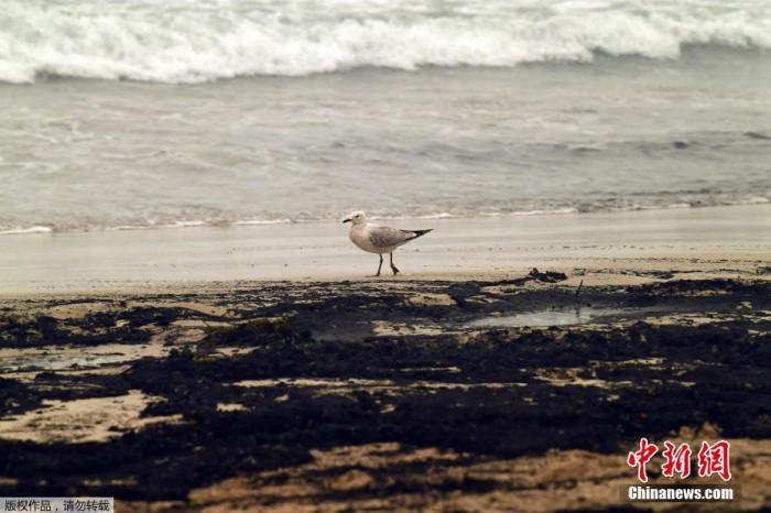 当地时间1月5日，澳大利亚新南威尔士州的梅里姆布拉，海滩被丛林大火的灰烬染黑。