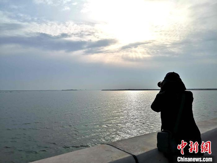 资料图：东营市广南水库。　沙见龙 摄