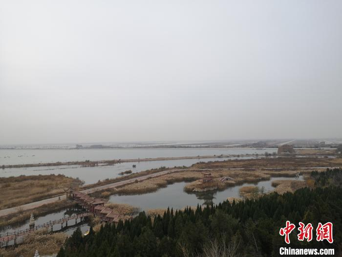资料图：东营市广南水库附近的湿地。　沙见龙 摄