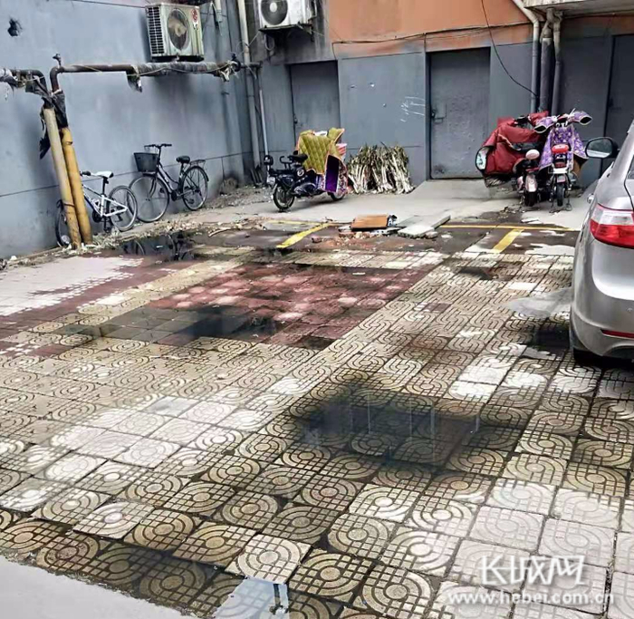 自强街康馨小区下水道长期堵塞。网友供图