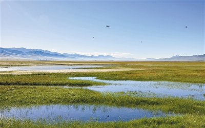 蓝风吹皱碧水晶，翩翩鸟翼携鱼行