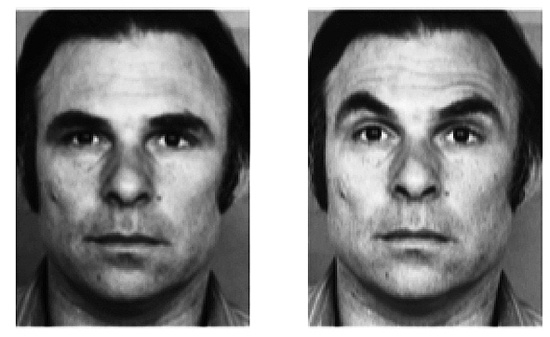 左图是中性表情，右图是“牛角”的眉毛形态。