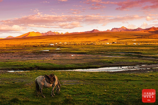 湿地最美的时光是秋天。五颜六色的野生花草争奇斗艳，给湿地穿上了最漂亮的衣裳。夕阳西下，广袤的湿地笼罩在一片金色中，天光云影，又是一番别有滋味的景象。（重庆市沙坪坝区纪委监委供 荣腾娇 摄）