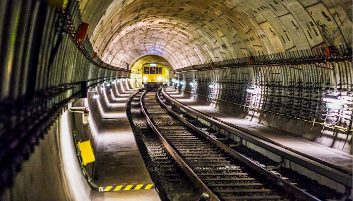 图片来源：Pexels- anna-m. w.