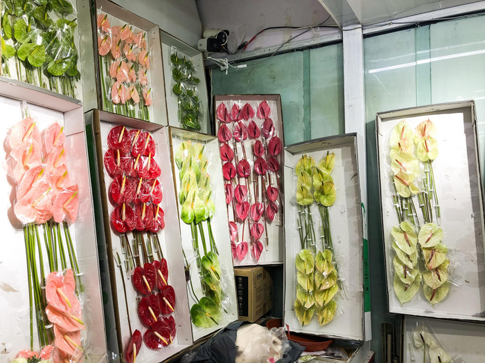 花花市界的红烛。新京报记者 余华尊 摄