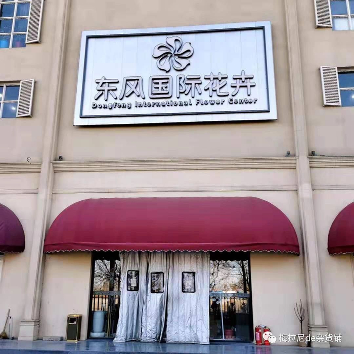 东风国际花卉市场。图/微信公众号梅拉尼de杂货铺截图