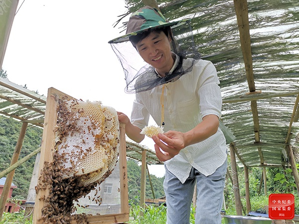 浙江省开化县音坑乡残疾人周忠生在当地政府的指导帮助下，利用当地资源发展中蜂养殖产业，实现年产值突破10万元。（浙江省开化县纪委监委供 胡萍 摄）