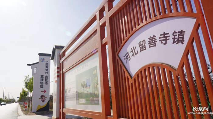 西乾泊村直播场院。王涛 摄