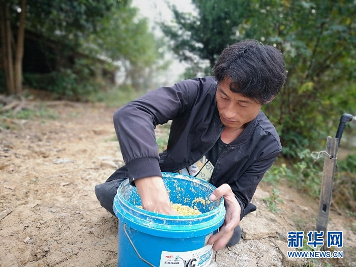 李峰拌饲料准备喂鸡。新华网刘晓丽 摄