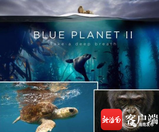 BBC地球新媒体创意馆落地三亚国际免税城二期。三亚免税城二期供图