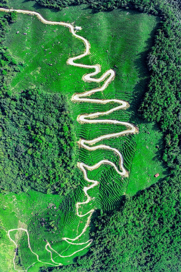 ▲ 汉中勉县，汉中仙毫的主要产地。 摄影/张永锋