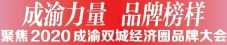 成渝力量品牌榜样 聚焦2020成渝双城经济圈品牌大会