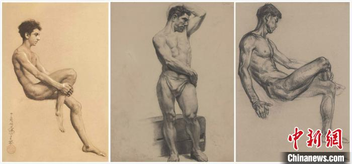 左起分别是徐悲鸿、吴作人和潘公凯的素描男人体 国家博物馆供图