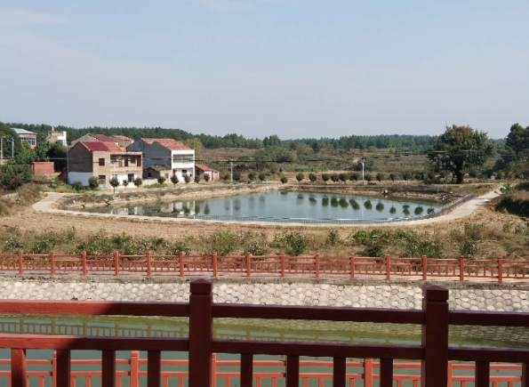图为周柴村扶贫项目新建的样板塘