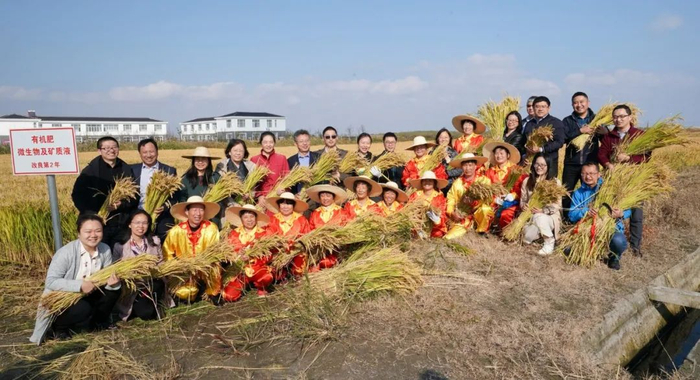 ▲ 和对口党建结对帮扶单位横沙东浜村村民庆祝丰收