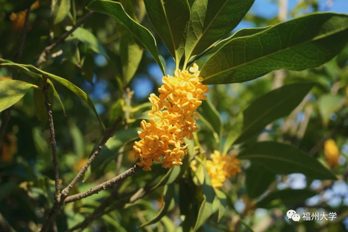 （温雷蕾 摄）