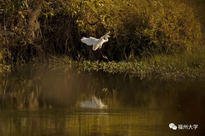 （周师炜 摄）