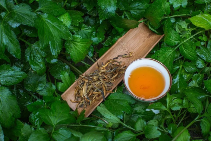 ▲ 云南滇红。摄影/西西的风景，图/图虫·创意