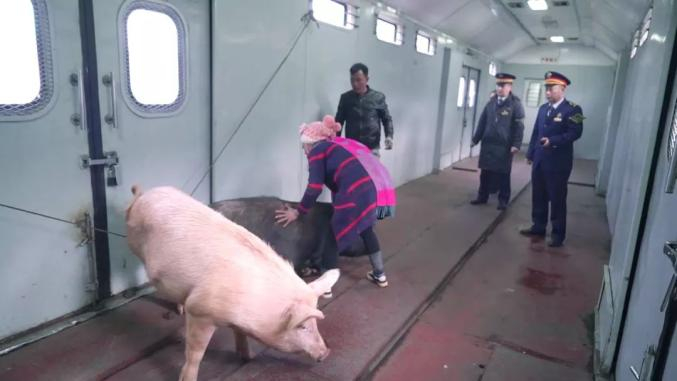 乘客们正将“二师兄”朝行李车厢里赶