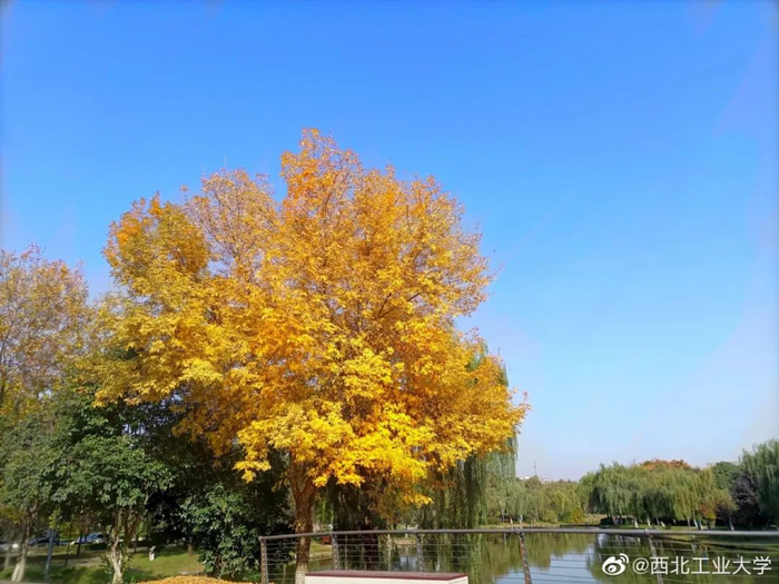 △西北工业大学