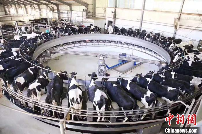 郭建创办的大同市牧同乳业公司。受访者供图