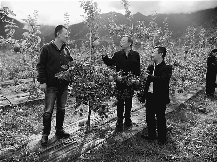 　　国家苹果产业技术体系首席科学家霍学喜（中）在米林县羌纳苹果示范基地现场开展技术指导。西藏日报记者 李梅英 摄