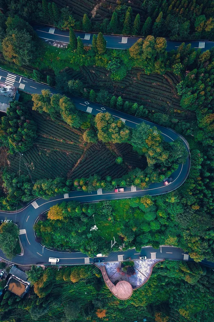 ▲ 四川雅安蒙顶山。摄影/胡文凯，图/图虫·创意