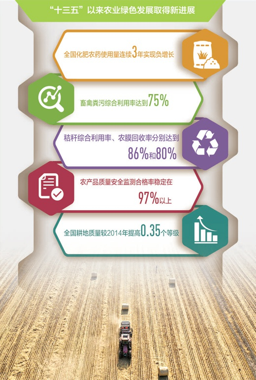 图为：在河北唐山唐海镇田间，农机把水稻秸秆打捆成养殖饲料。王爱军摄（人民视觉）数据来源：农业农村部